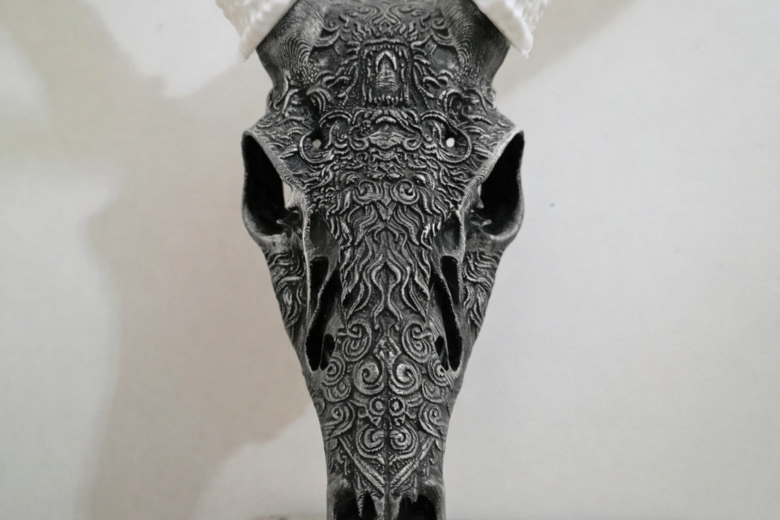 Layered Bone Co. 3D printed graphic Euro whitetail skull